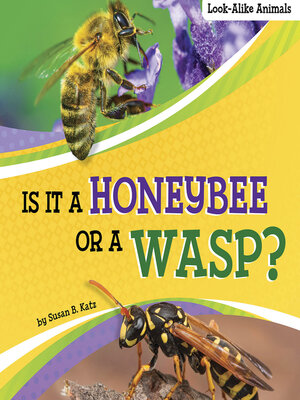 cover image of Is It a Honeybee or a Wasp?